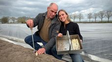 Vader Gilbert met dochter Janske op het aspergeveld.