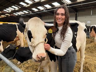 Miss Verkiezing voor koeien in Etten-Leur