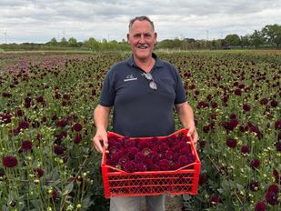 Martien Vriend Buurtschap Stuivezand.