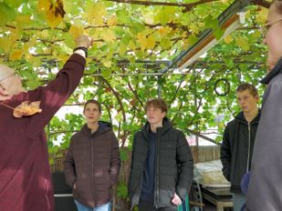 Leerlingen Steenspil leren in de tuin van Gerard (87) snoeien én medemenselijkheid