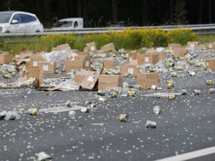 ananas op snelweg