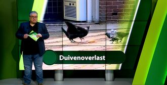 ZuidWest Update Weekoverzicht - 17 mei – West-Brabant