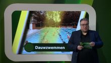 31 augustus – Roosendaal | Bergen op Zoom | Woensdrecht | Tholen | Steenbergen