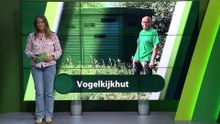 10 augustus – Moerdijk | Etten-Leur | Zundert | Halderberge | Rucphen