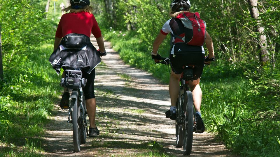 Thoolse Fietstocht langs mooiste plekken van Tholen