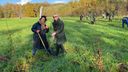 Lokale ondernemers planten bomen, als statement tegen Black Friday