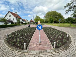 Witte Anjer Perk Parklaan 2024 foto Alex Raggers