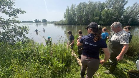 Ravon en Waterschap Brabantse Delta onderzoeken de visstand in Gat van den Ham met vrijwilligers (Foto: ZuidWest Update)
