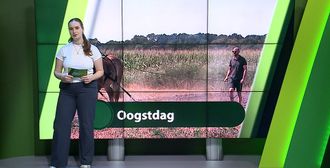 ZuidWest Update - 3 augustus – Moerdijk | Etten-Leur | Zundert | Halderberge | Rucphen