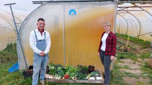 Pluktuin Martinushoeve Ossendrecht