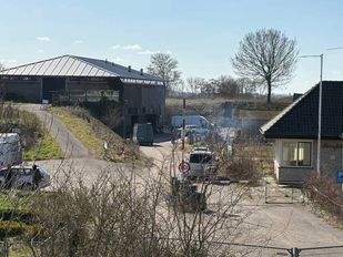 rave willemstad nieuws brabant