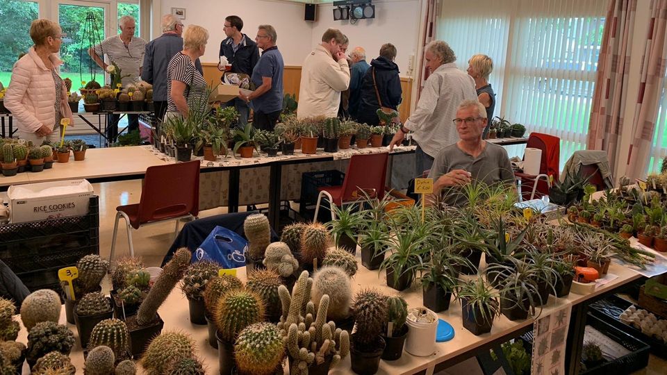 cactusbeurs etten-leur