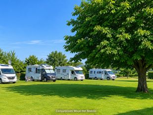 Voorgenomen verhoging toeristenbelasting Roosendaal brengt onrust bij campings en hotels
