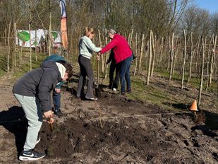 Nationale Boomfeestdag Etten-Leur Groep 8