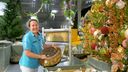 The Most Wonderful Time Of The Year komt er weer aan bij Intratuin