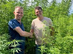 Hennep Marc van der Bol