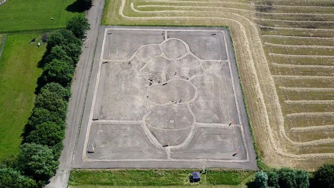 Droneshot zonnebloemenveld Van Gogh Etten-Leur.