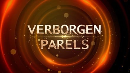 Verborgen Parels