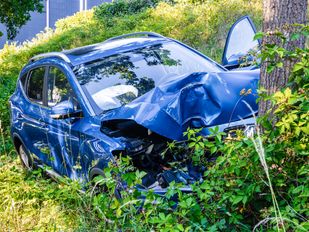 Auto tegen boom Ruytershoveweg Bergen op Zoom