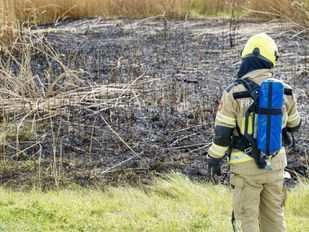 Vandalen stichten brand in rietkraag aan Rijksweg Sint Philipsland