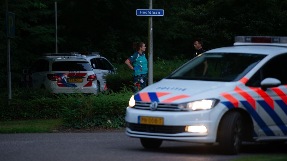 meisje gestoken Vrederust