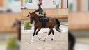 Puk (17) uit Hoogerheide wil naar het WK voltige in Zweden