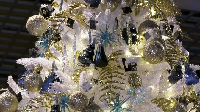 Kerstboom Intratuin