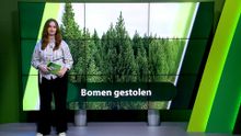 14 oktober – Roosendaal | Bergen op Zoom | Woensdrecht | Tholen | Steenbergen