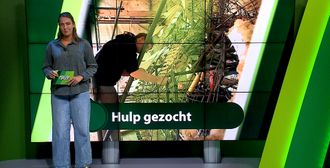 ZuidWest Update - 18 augustus – Roosendaal | Bergen op Zoom | Woensdrecht | Tholen | Steenbergen