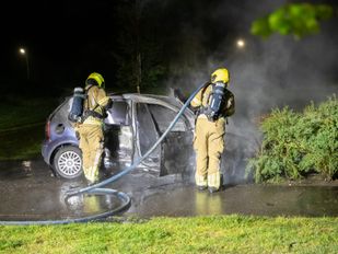 Auto volledig in vlammen opgegaan in Vogelaarpark in Etten-Leur