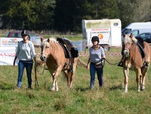 Foto: Jan Krijtenburg/Woensdrecht.nieuws.nl