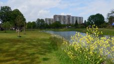 Het vernieuwde Vijverberg park (foto: ZuidWest Update)