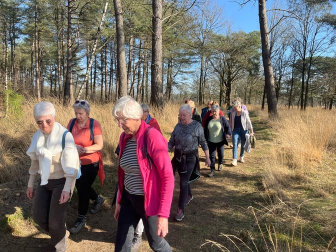 Poeziëwandeling Zundert