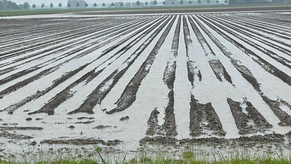 Land onder water aardappelen Ary Kruisland