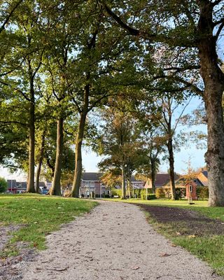 Eikelhof in Ossendrecht krijgt metamorfose: nieuw pad, extra groen en speeltoestellen