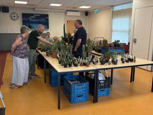 Vergrijzing heerst bij cactusclub, toch blijft jaarlijkse beurs vaste prik