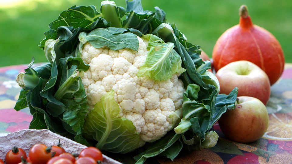 Jongeren na de zomer van start met gezonde voedselkeuzes tijdens Food Boost Challenge