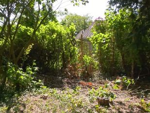 Kaalslag Oscar van Hemelpark