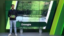 15 juli – Roosendaal | Bergen op Zoom | Woensdrecht | Tholen | Steenbergen