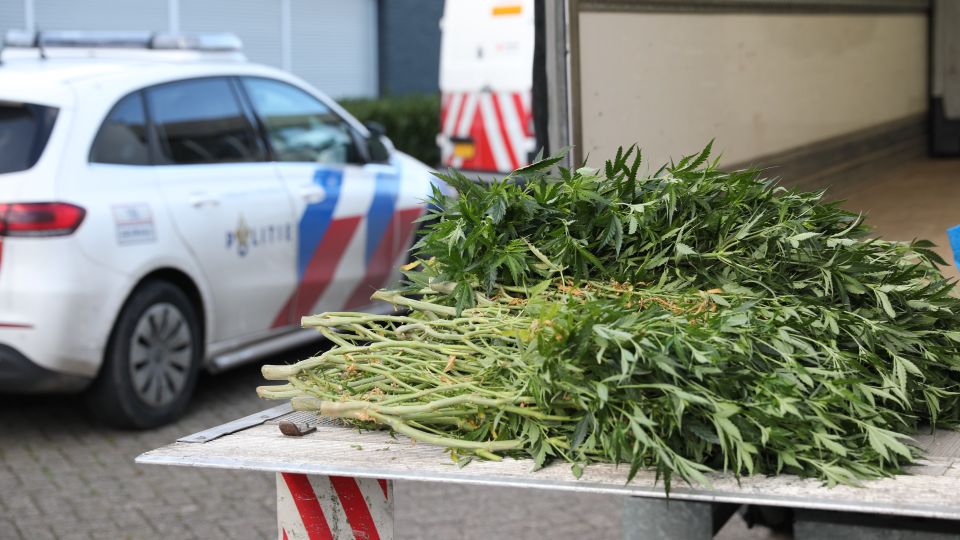 Hennepkwekerij Roosendaal politie