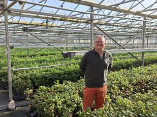 LocalTea opent deuren van Zundertse theeplantage én kondigt vertrek aan: &#8216;Op naar biologische grond&#8217;