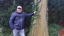 Roosendalers zijn bezorgd over levensgevaarlijke, metershoge bomen: &#8216;Gemeente, doe iets&#8217;