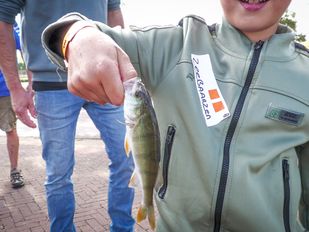 Jonge hengelsporters leren de kneepjes van het vak tijdens zomerviskaravaan