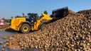 Bietencampagne begint met strenge coronamaatregelen