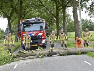 omgewaaide boom storm Etten-Leur