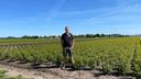 Agrariërs zetten zich schrap tegen droogte: ‘Als wij niet handelen, verdroogt de hele zaak’