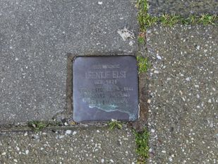 struikelsteen leentje van elst roosendaal