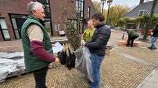 Inwoners van Klundert mogen gratis vergroenen.
