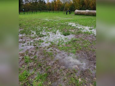 Het veld is al maanden kletsnat (foto: Marion Heijnen)