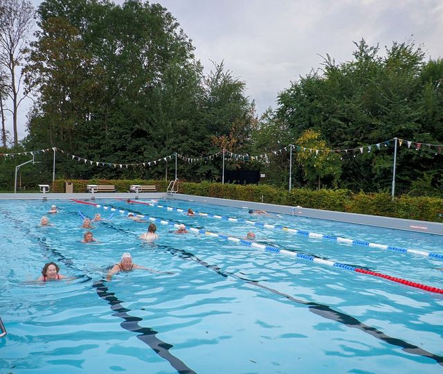 Vroege zwemmers sluiten zwemseizoen af met dauwzwemmen